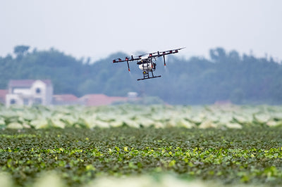 Drones Revolutionizing Agriculture: A Closer Look at Mechanical Pollination